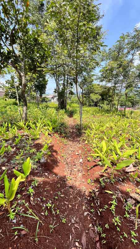 dijual tanah kp bunisari