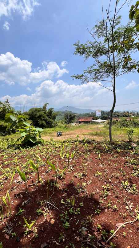 dijual tanah kp bunisari