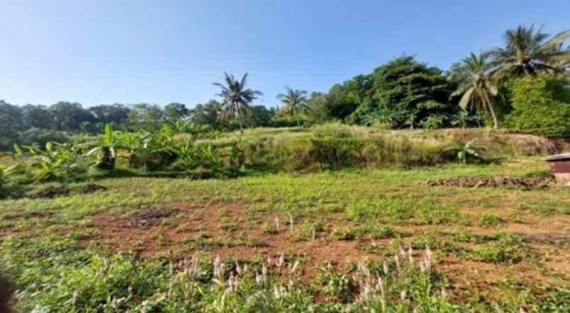 dijual tanah lebak gede kec pulomerak