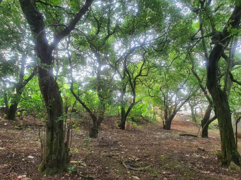 dijual tanah luas shm dekat depok town square