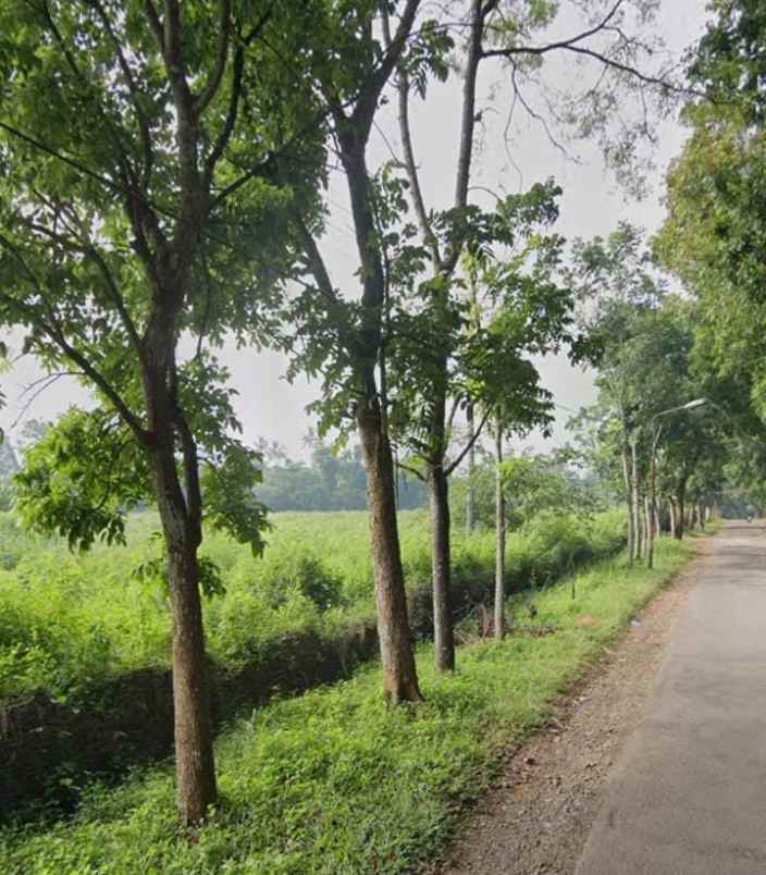 dijual tanah marengmang