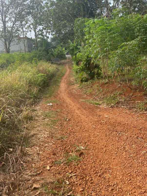 dijual tanah mulawarman