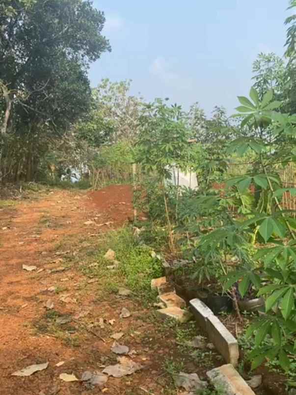 dijual tanah mulawarman