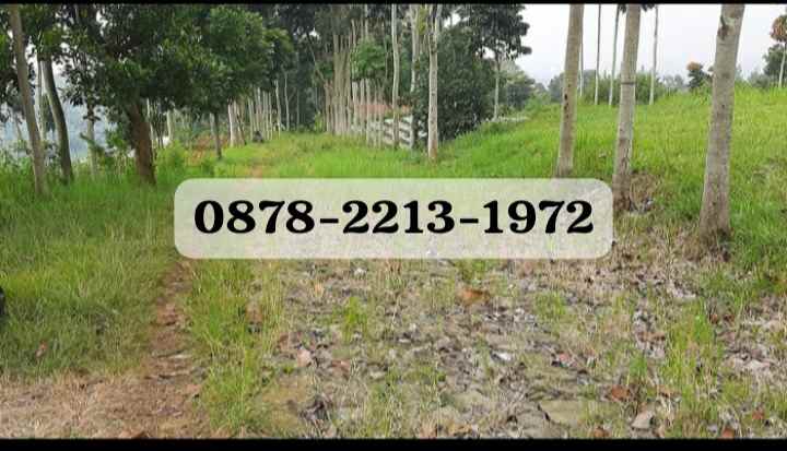 dijual tanah pagerwangi lembang bandung