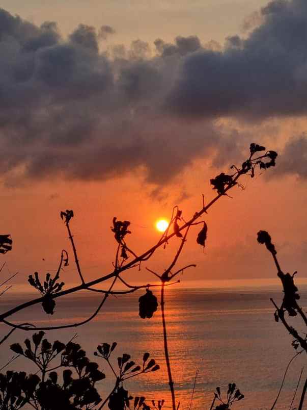 dijual tanah pecatu kuta selatan