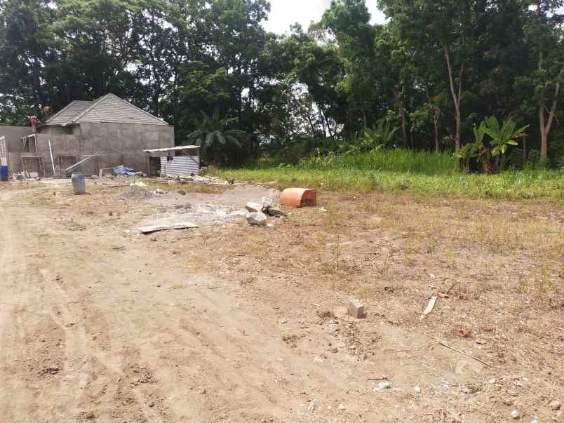 dijual tanah pekarangan area madurejo prambanan sleman