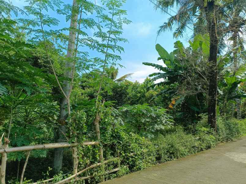 dijual tanah pekarangan shm langsung pemilik