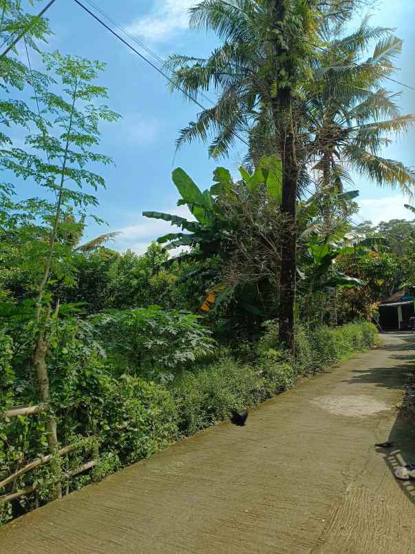 dijual tanah pekarangan shm langsung pemilik