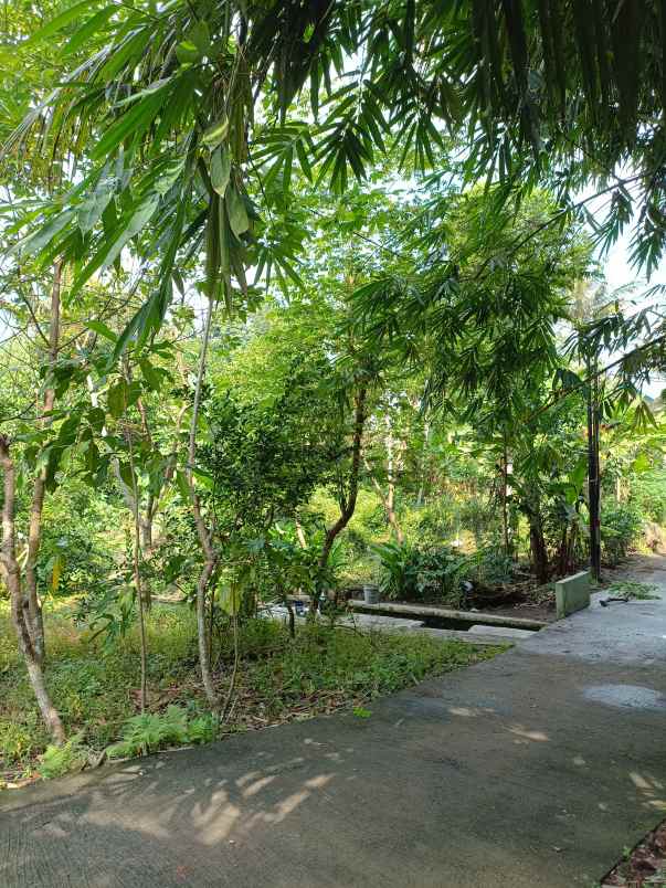 dijual tanah pekarangan shm langsung pemilik