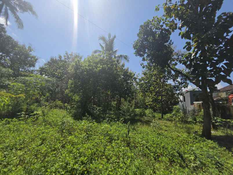 dijual tanah pekarangan strategis