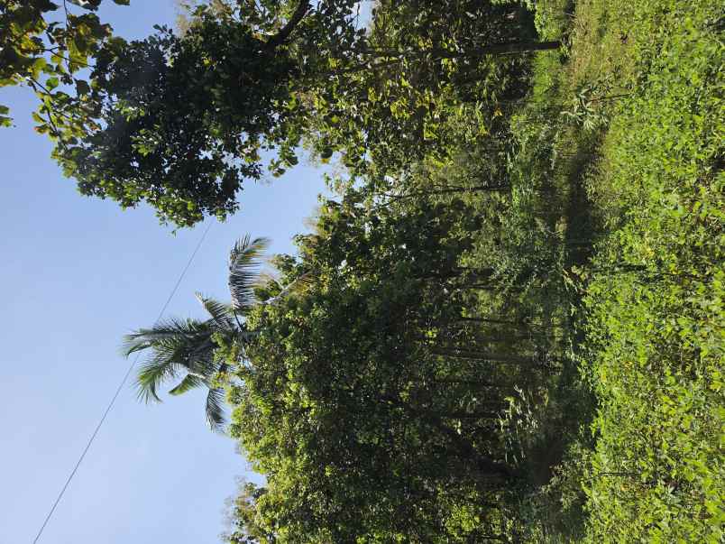 dijual tanah pekarangan strategis