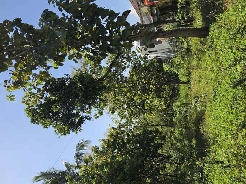 dijual tanah pekarangan strategis