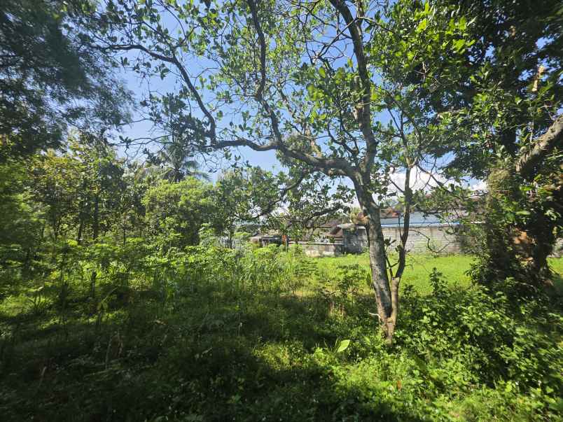 dijual tanah pekarangan strategis