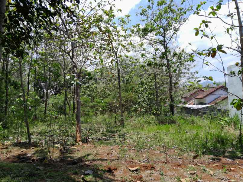 dijual tanah pekarangan strategis