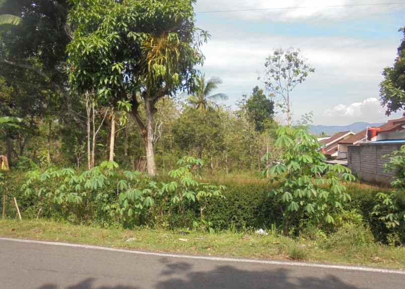 dijual tanah pekarangan strategis