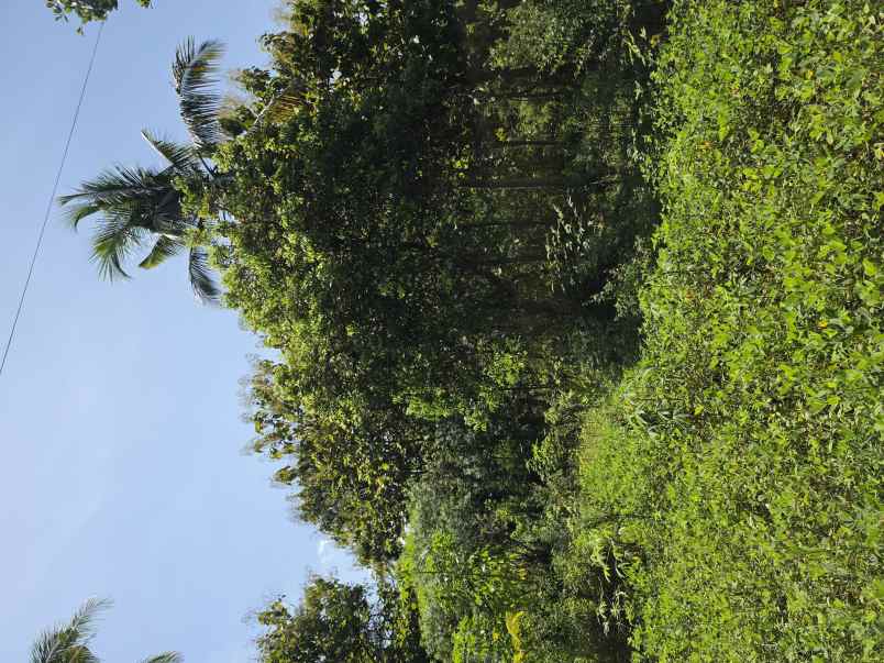 dijual tanah pekarangan strategis