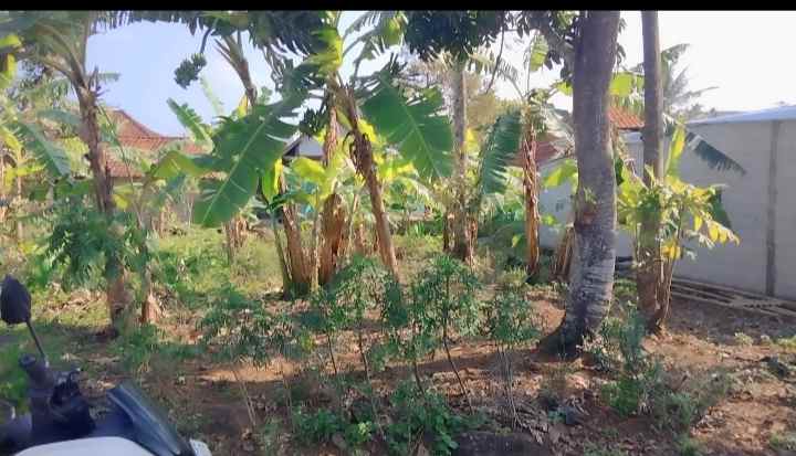 dijual tanah pinggir jl akses mobil