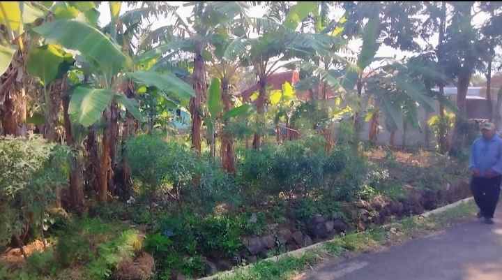 dijual tanah pinggir jl akses mobil