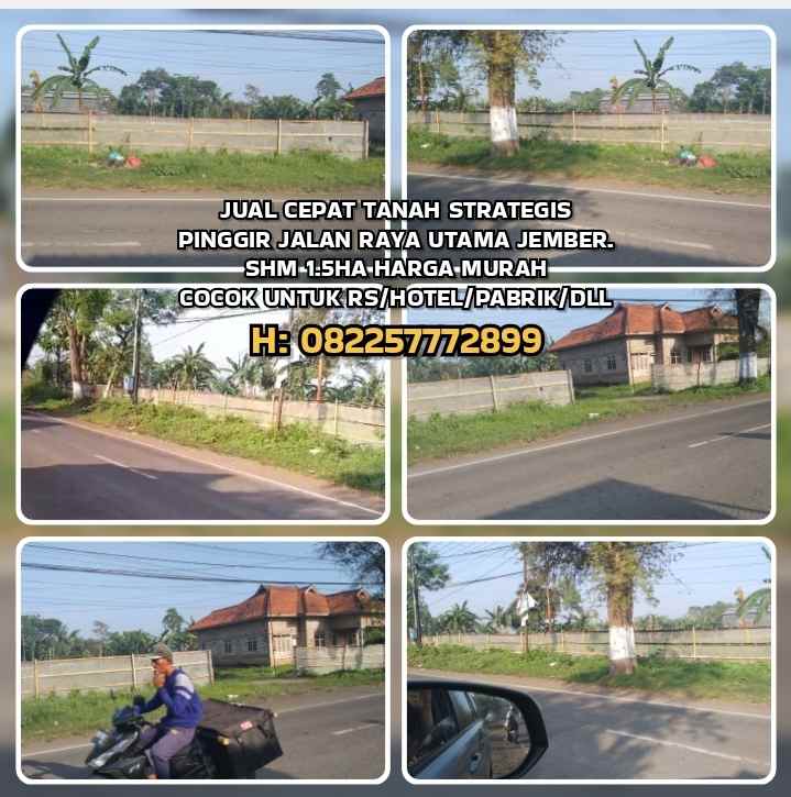 dijual tanah pondok lalang jenggawah jember