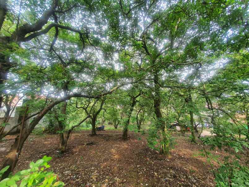 dijual tanah rangkapan jaya kec