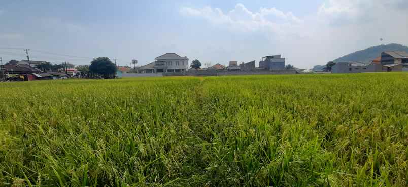 dijual tanah raya batujajar