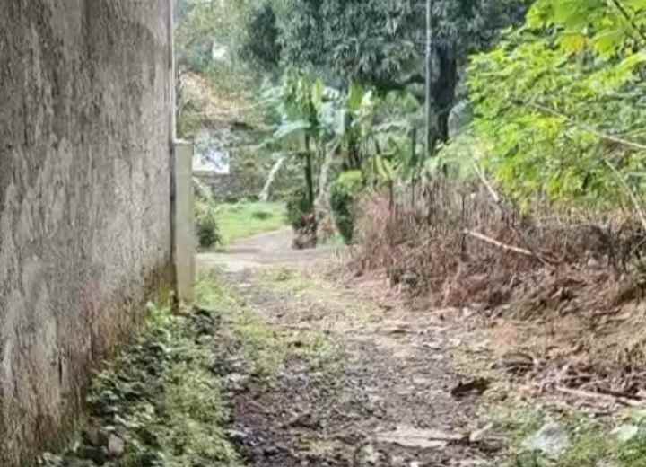 dijual tanah sawah di sindangkempeng kuningan