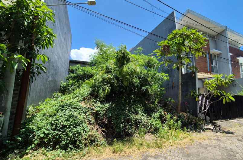 dijual tanah semolowaru