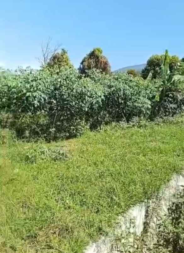 dijual tanah strategis pinggir jalan baru cisantana