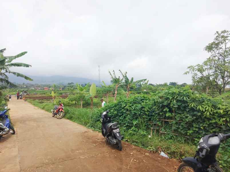 dijual tanah view gunung sawah asri alami
