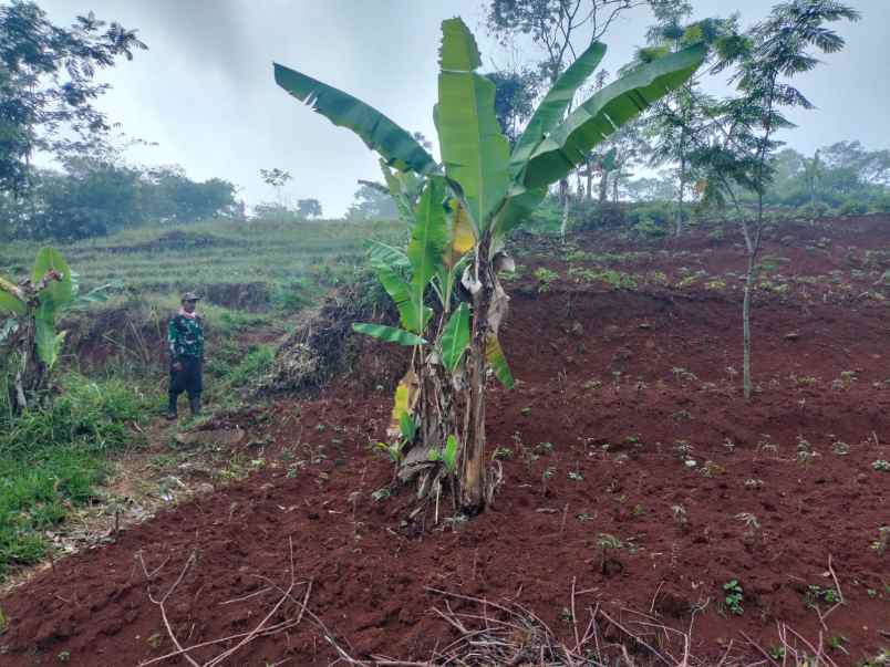 dijual tanah wargamekar