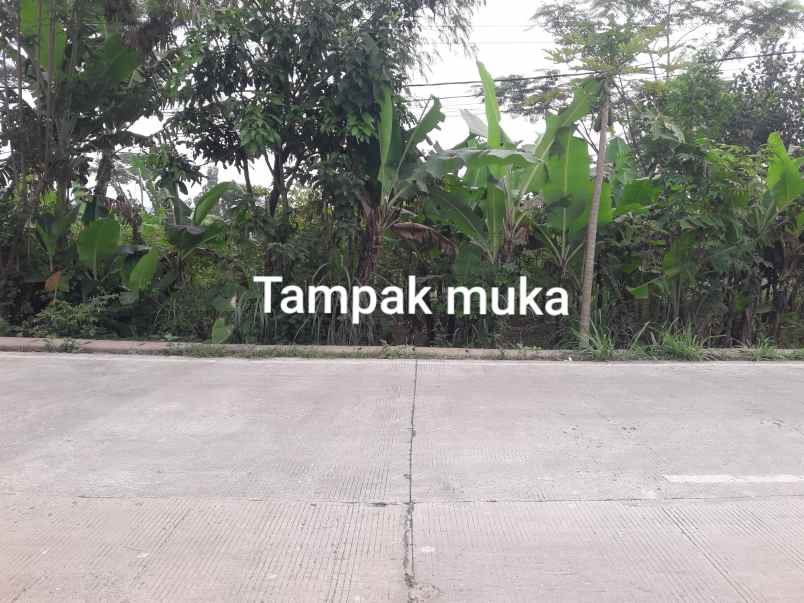 dijual tanah warung darusalam