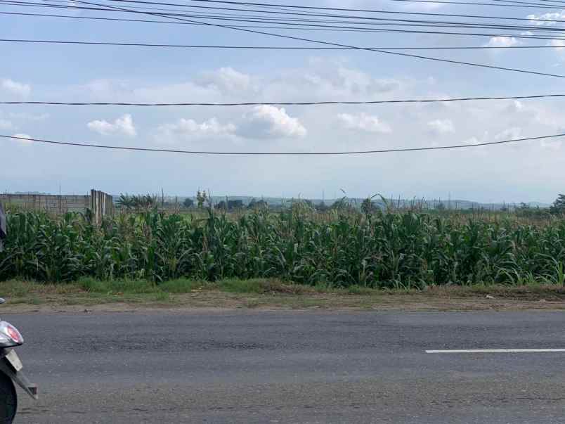 dijual tanah zona industri di semarang