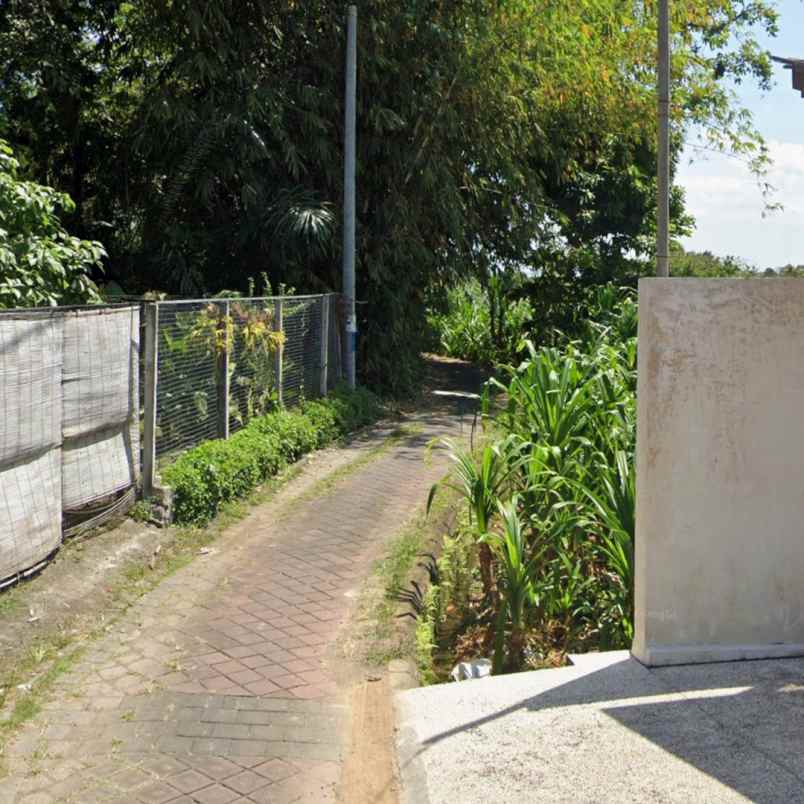 dikontrakan 25 are jl padonan veteran buduk mengwi