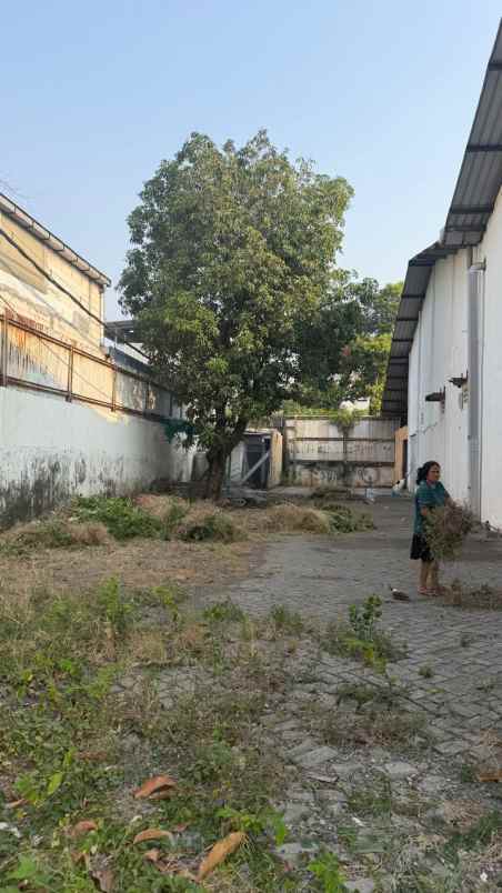disewakan ruko gudang kantor raya rungkut industri