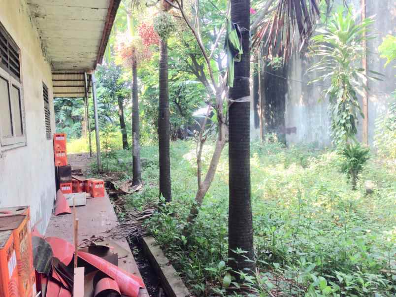 disewakan tanah jalan sultan agung