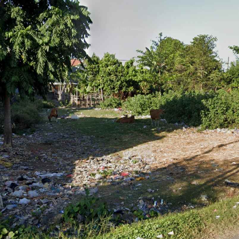 disewakan tanah pedungan