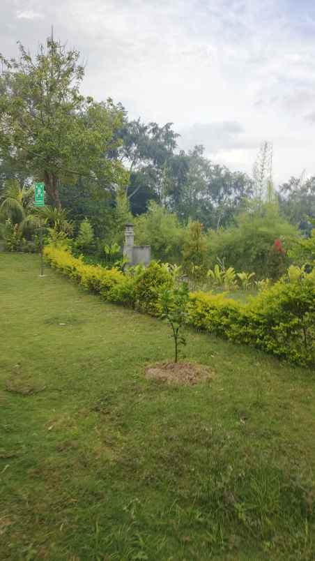 for sale a prime land and villa complex