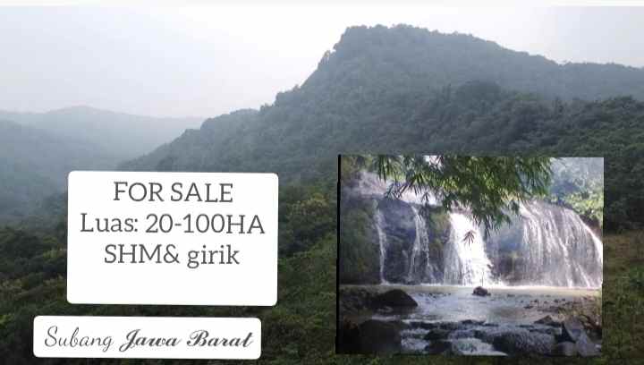 for sale lahan kebun cijambe subang jawa barat