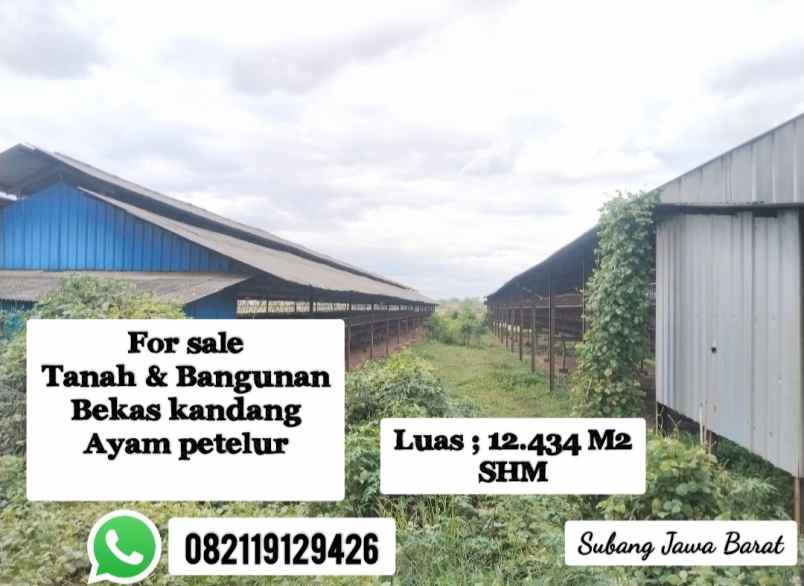 for sale tanah bangunan kandang ayam petelur subang