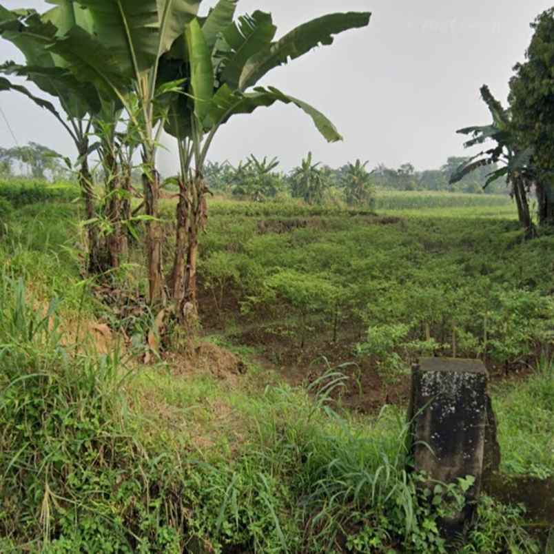 jual cepat tanah datar pinggir jalan di dramaga bogor