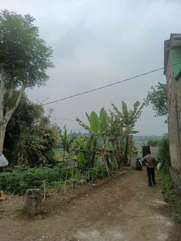 jual cepat tanah di cilame hanya 1 jutaan per meter