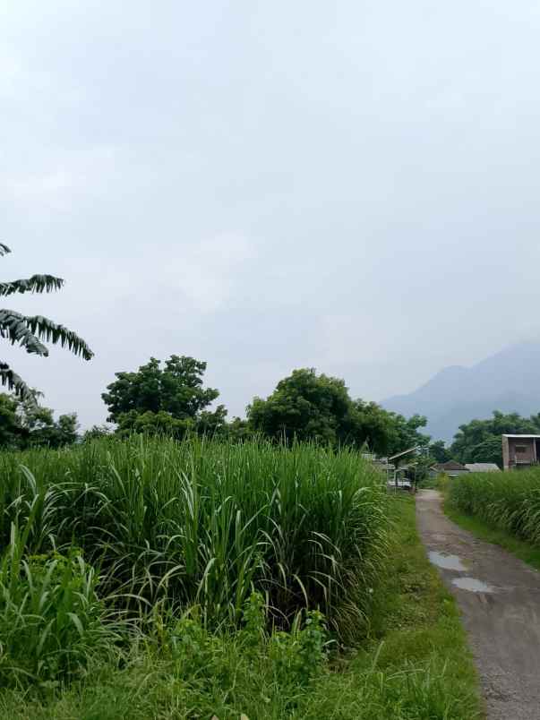 jual cepat tanah strategis