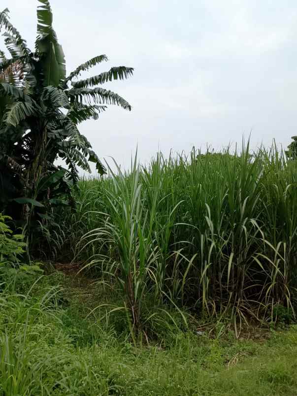jual cepat tanah strategis