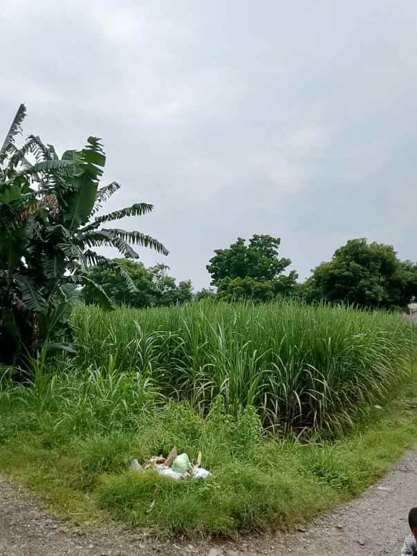 jual cepat tanah strategis