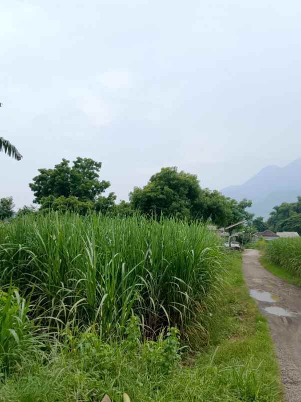 jual cepat tanah strategis