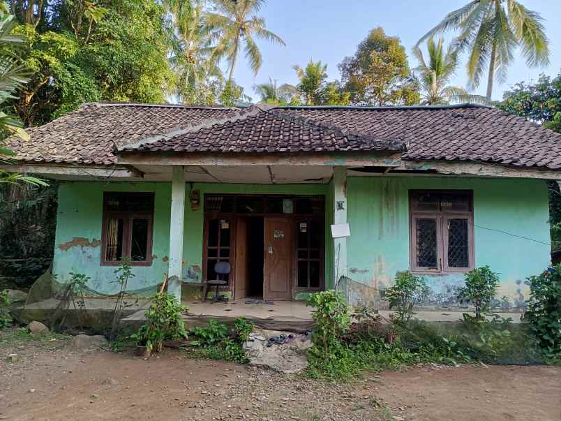 jual rumah minimalis rumah
