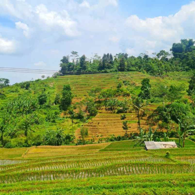jual tanah murah di bandung mirip ubud bali