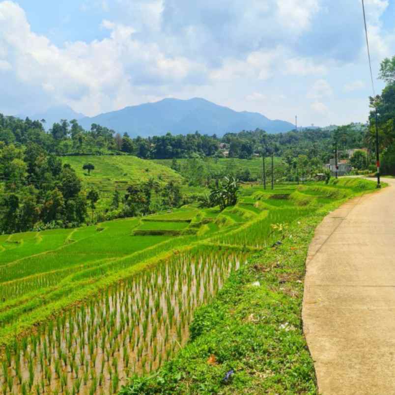 jual tanah murah di bandung mirip ubud bali