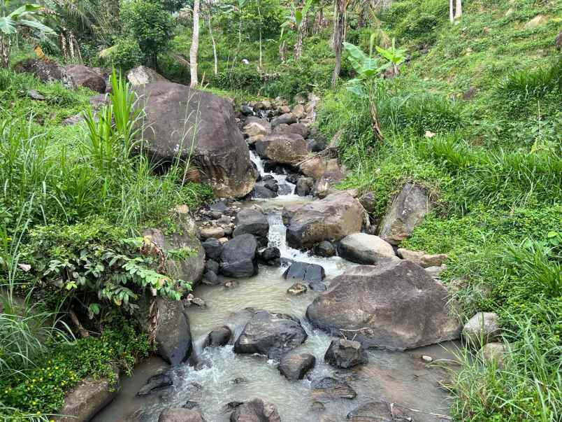 kebun durian view cantik 6313m karanganyar timur