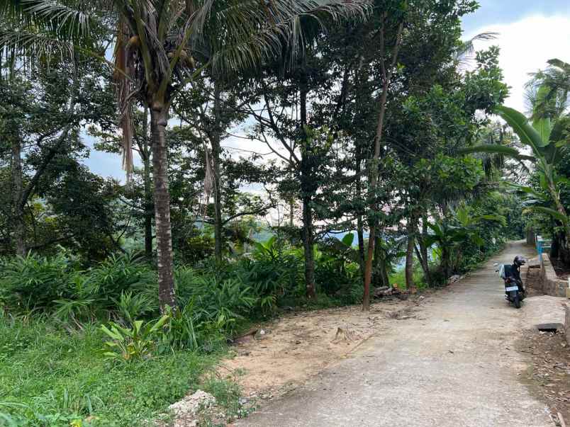 kebun durian view cantik 6313m karanganyar timur